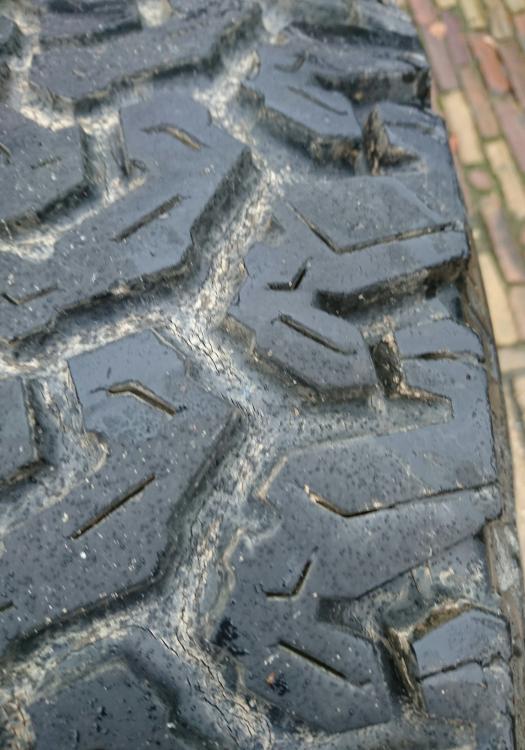 _20170208_010721.JPG