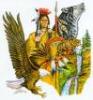 Comanche