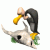 Vulture